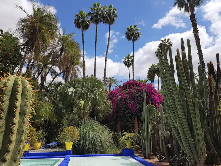 JARDIN DE MAJORELLE